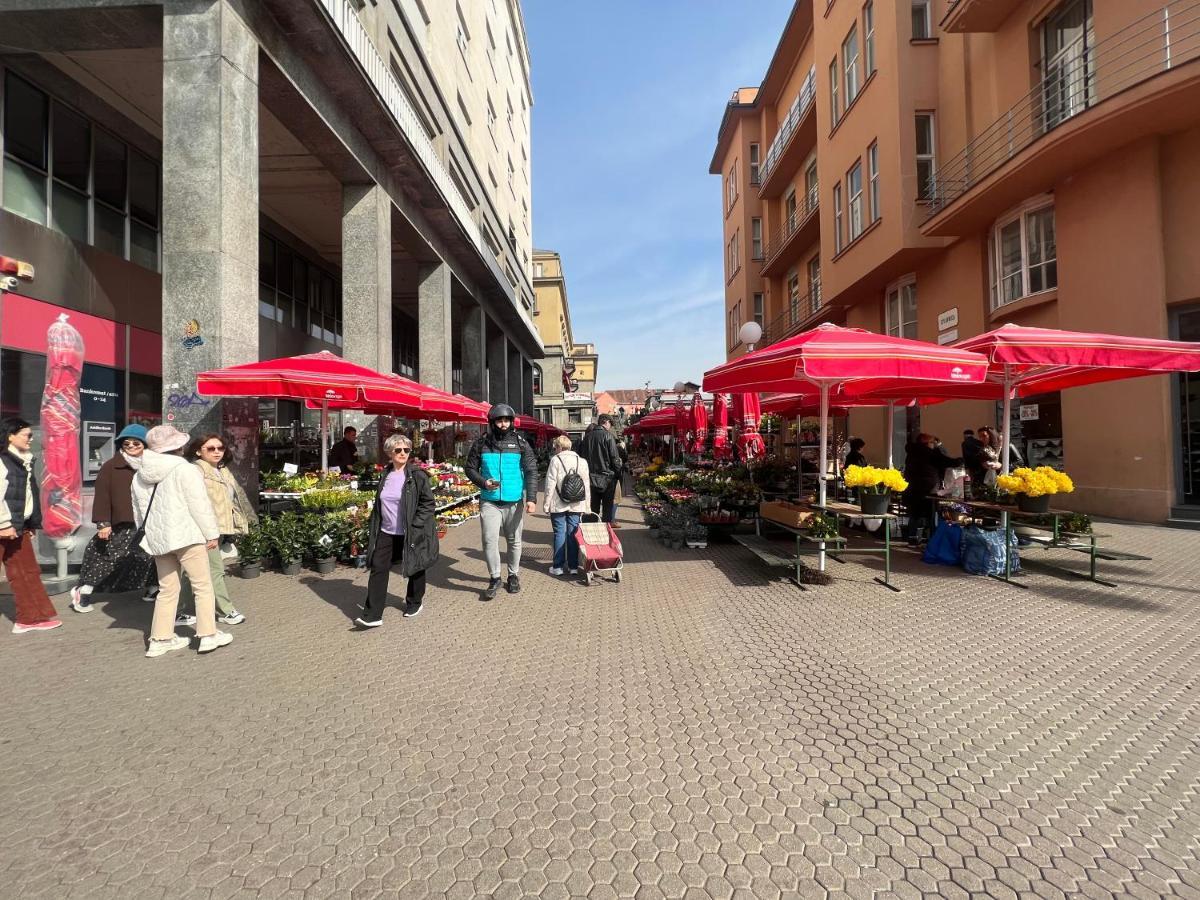 Studio Apartman Luka Zagrzeb Zewnętrze zdjęcie